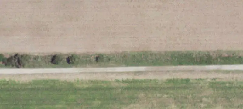 Country Acreage Tract