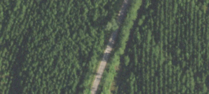 Wooded Residential Land Tract