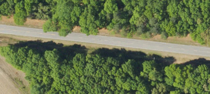Rural Acreage with Road Frontage