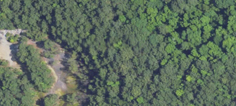 Wooded Land with Open Areas