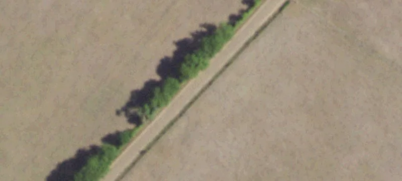 Acreage with Open Meadows