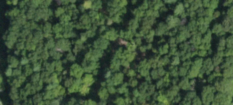 Single-Family Acreage Development Site