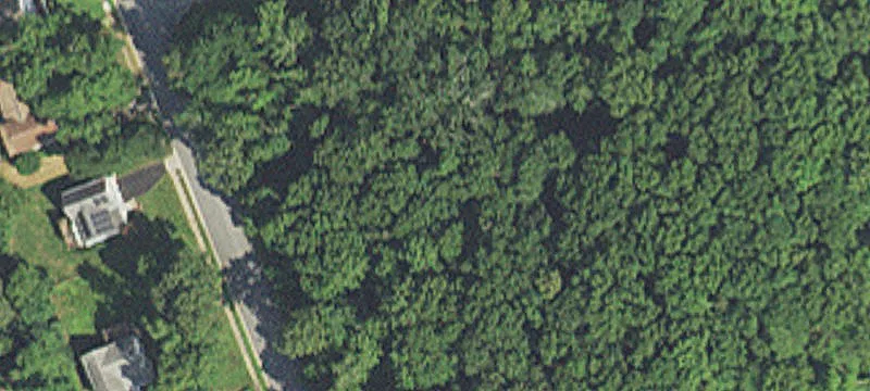 Zoned Residential Wooded Acreage