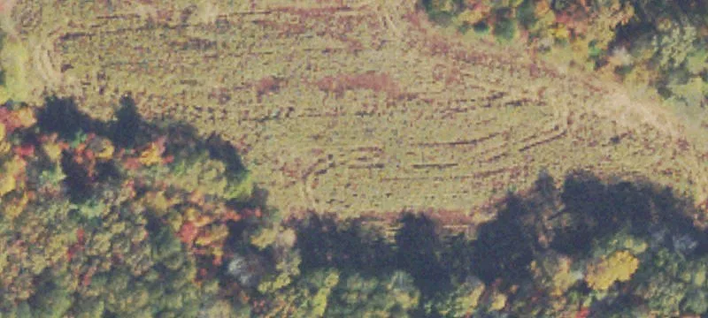 Riverfront Pasture Land Parcel