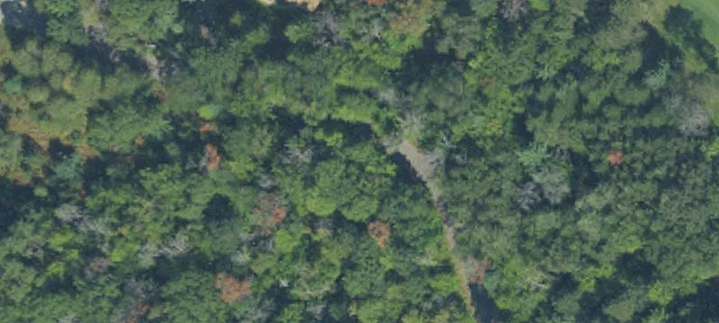 Golf Course Residential Lot