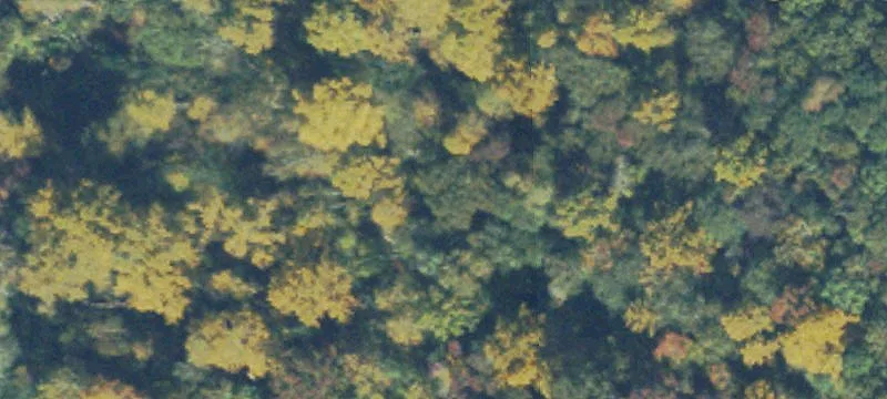 Commercial Land Development Tract