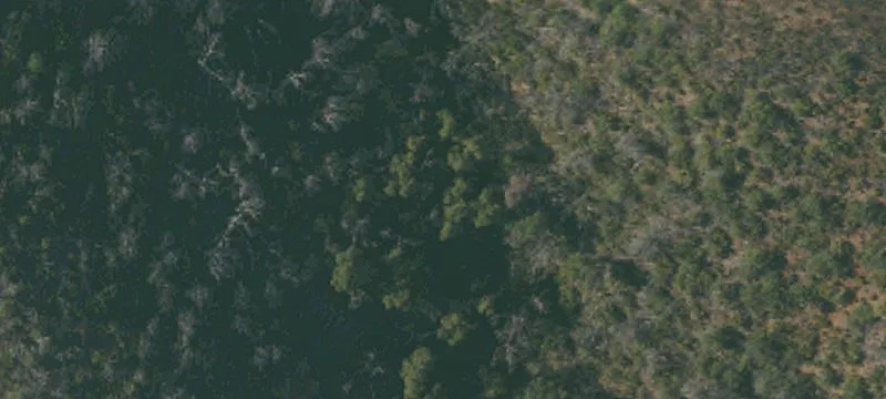 Mountain Ranch Land Parcel