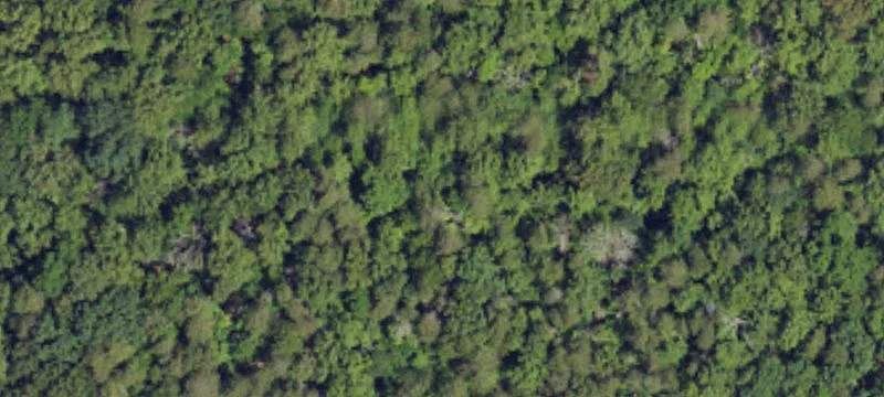 Waterfront Hunting Land Estate
