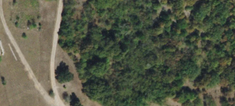Wooded Hunting & Off-Grid Land