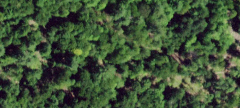 Large Private Land Parcel