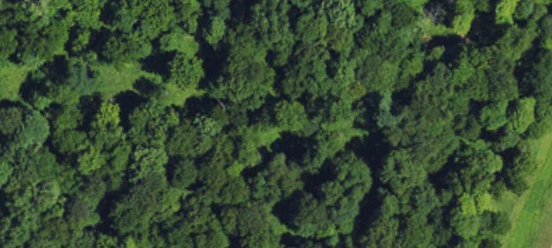 Residential Lot with Development Potential