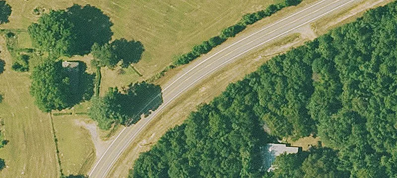 Timber-Evaluated Land Parcel