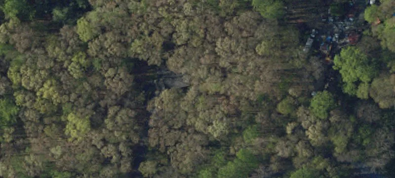 Wooded Residential Building Lot