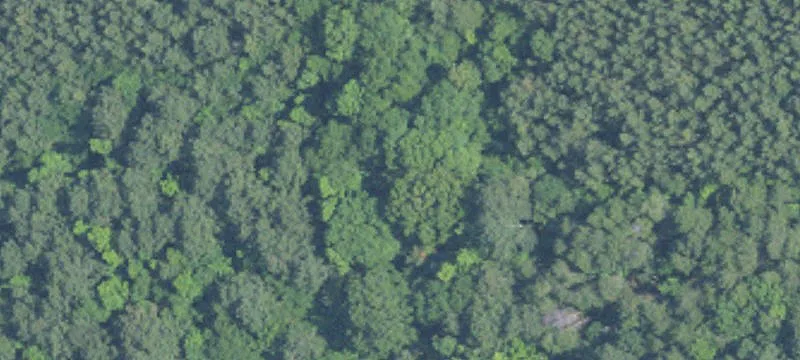 Residential Land Parcel With Utilities