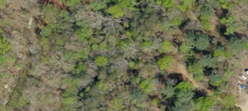 Multi-Use Acreage Tract