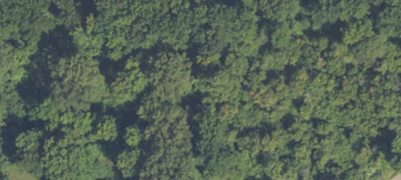 Wooded Residential Development Lot