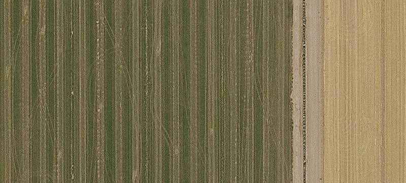 4+ Acre Vacant Home Site