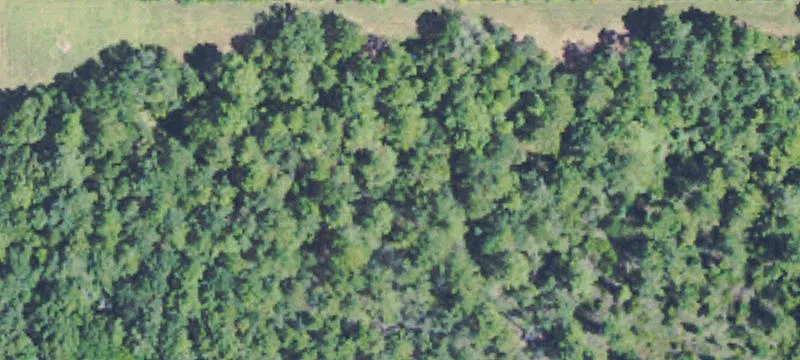 Coastal Waterfront Home Lot