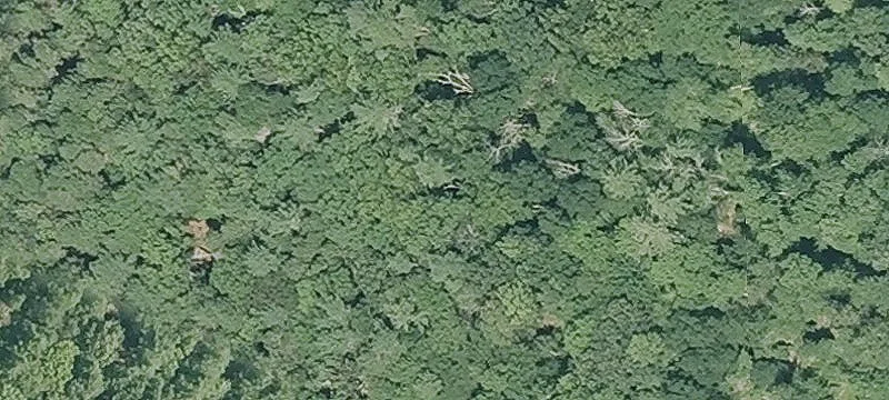 Land Development Tract with Access