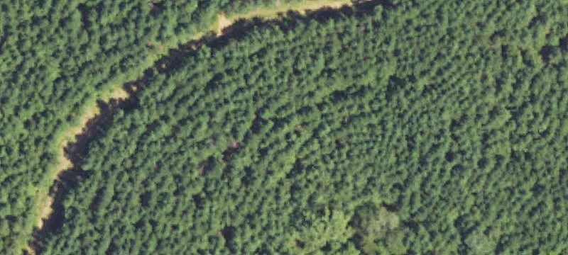 Turnkey Hunting Land with Timber