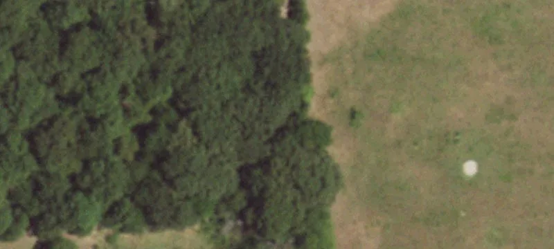 Wooded Hunting and Recreation Land