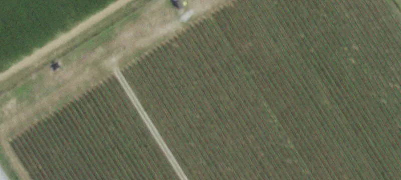 Vineyard Estate with Irrigation Well