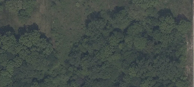 Wooded Residential Acreage with Pole Barn