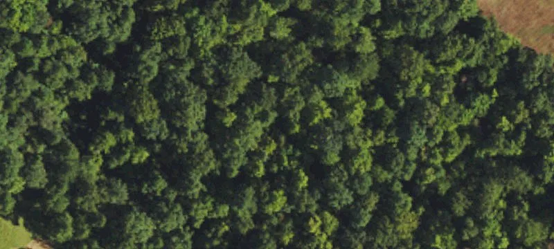 Recreational Land Acreage