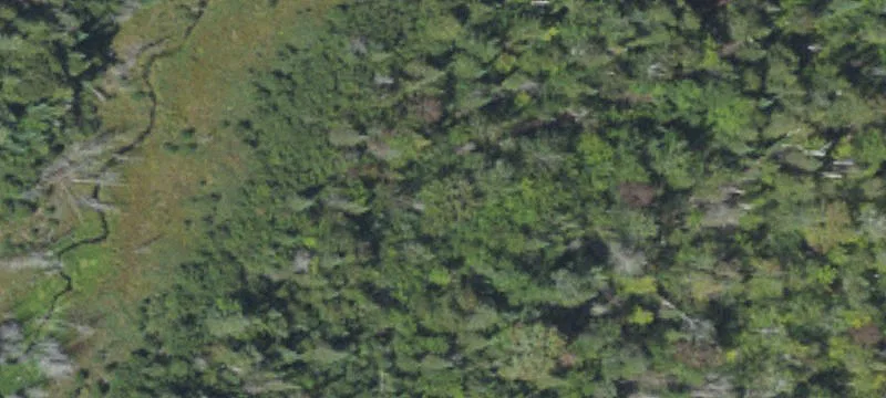 Recreational Hunting Land Acreage