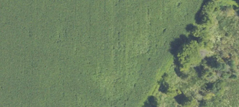 Recreation Hunting and Farm Land