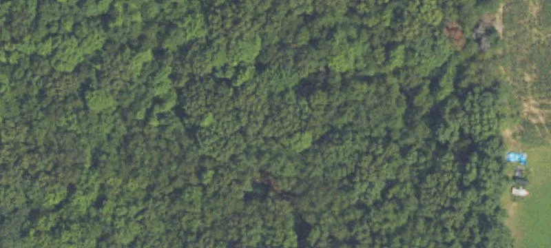 Rolling Land Parcel with Pond