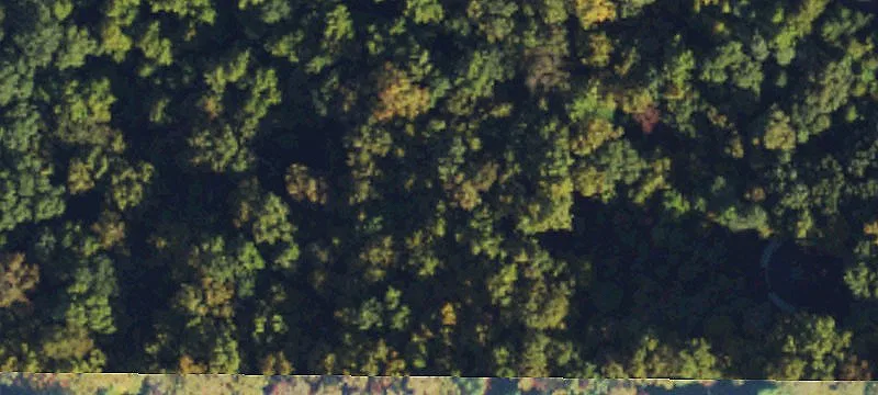 Waterfront Ridgeline Homesite