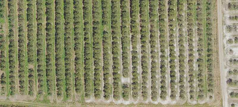 Agricultural Land with Multiple Road Frontage