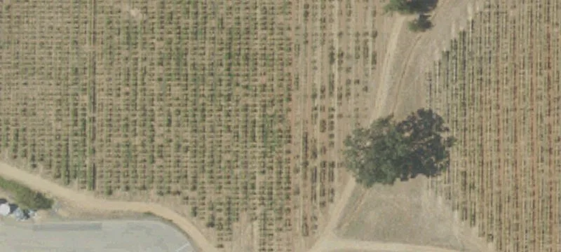 High-Capacity Winery and Events Facility
