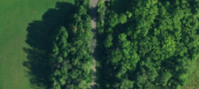 Waterfront Hunting Land with Pond