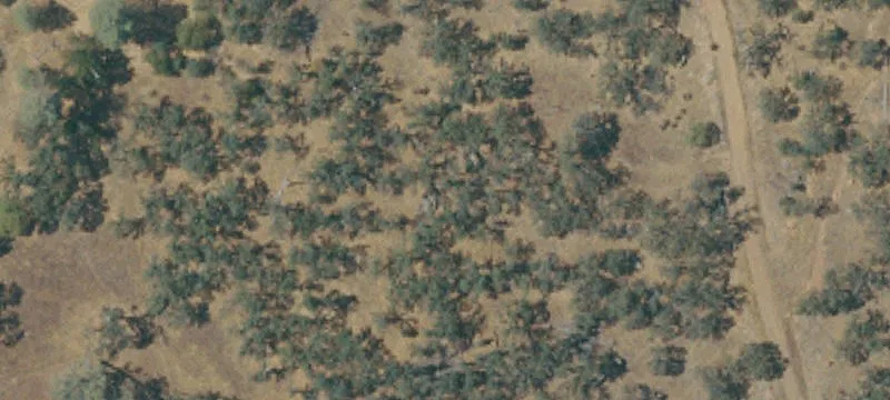 Expansive Foothills Acreage Parcel