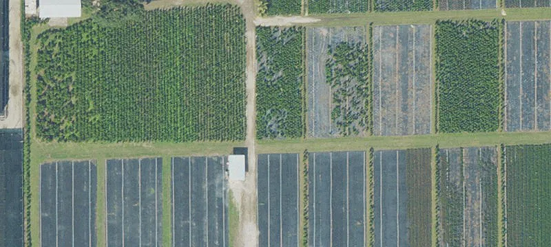 Nursery and Agricultural Land