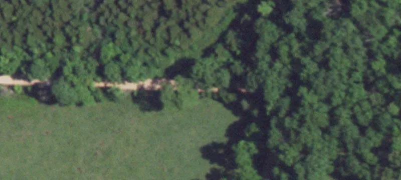 Hunting and Cattle Farm Land