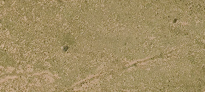 44-Acre Residential Development Land