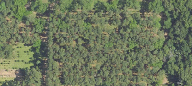 Flat Commercial Land with Road Frontage
