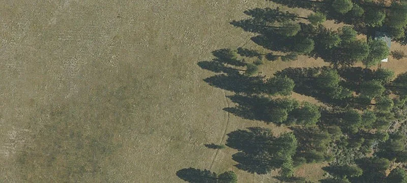 Recreational Timber & Pasture Land