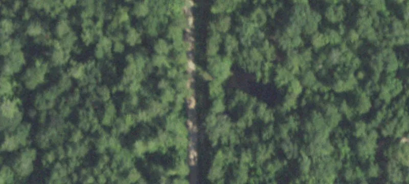 Unimproved Wooded Hunting Land