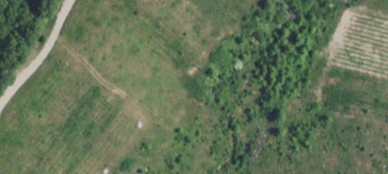 Vineyard and Farmland Tract