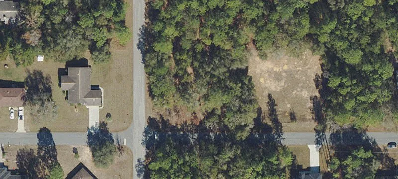 Treed Corner Home Lot