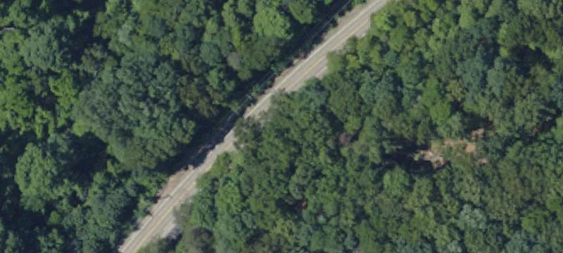 Treed Residential Building Lot