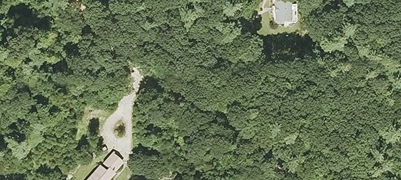 Raw Land Parcel with Woodlands