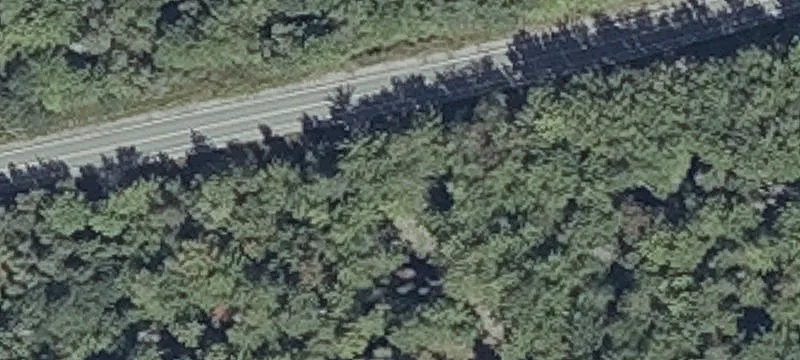 Wooded Residential Home Lot