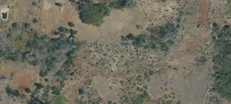 Adjoining Custom Home Lots