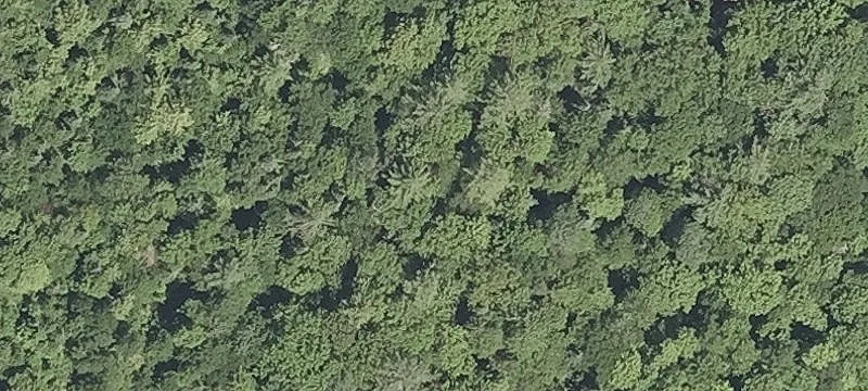Mountain View Buildable Lot