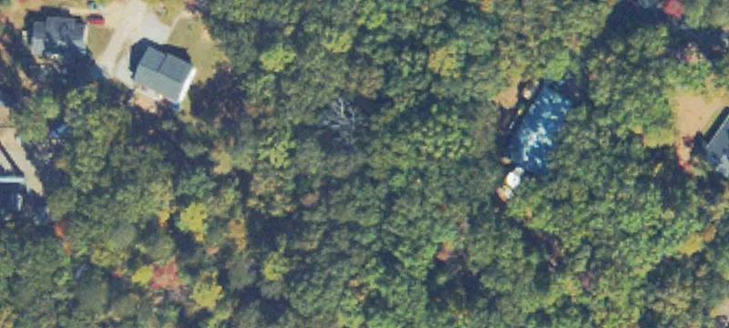Farmland Tract Adjacent National Forest